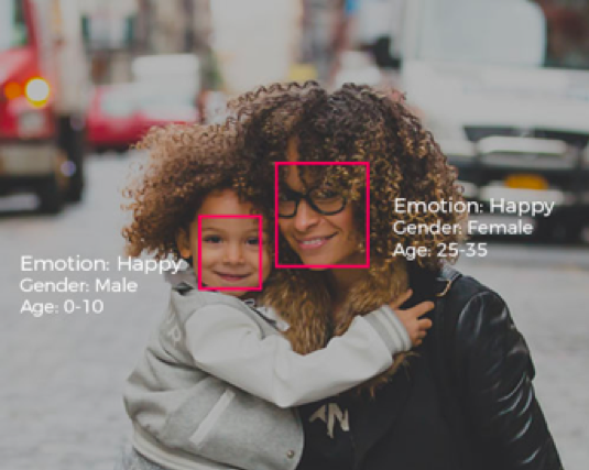 Anonymous Facial Analysis, Computer Vision